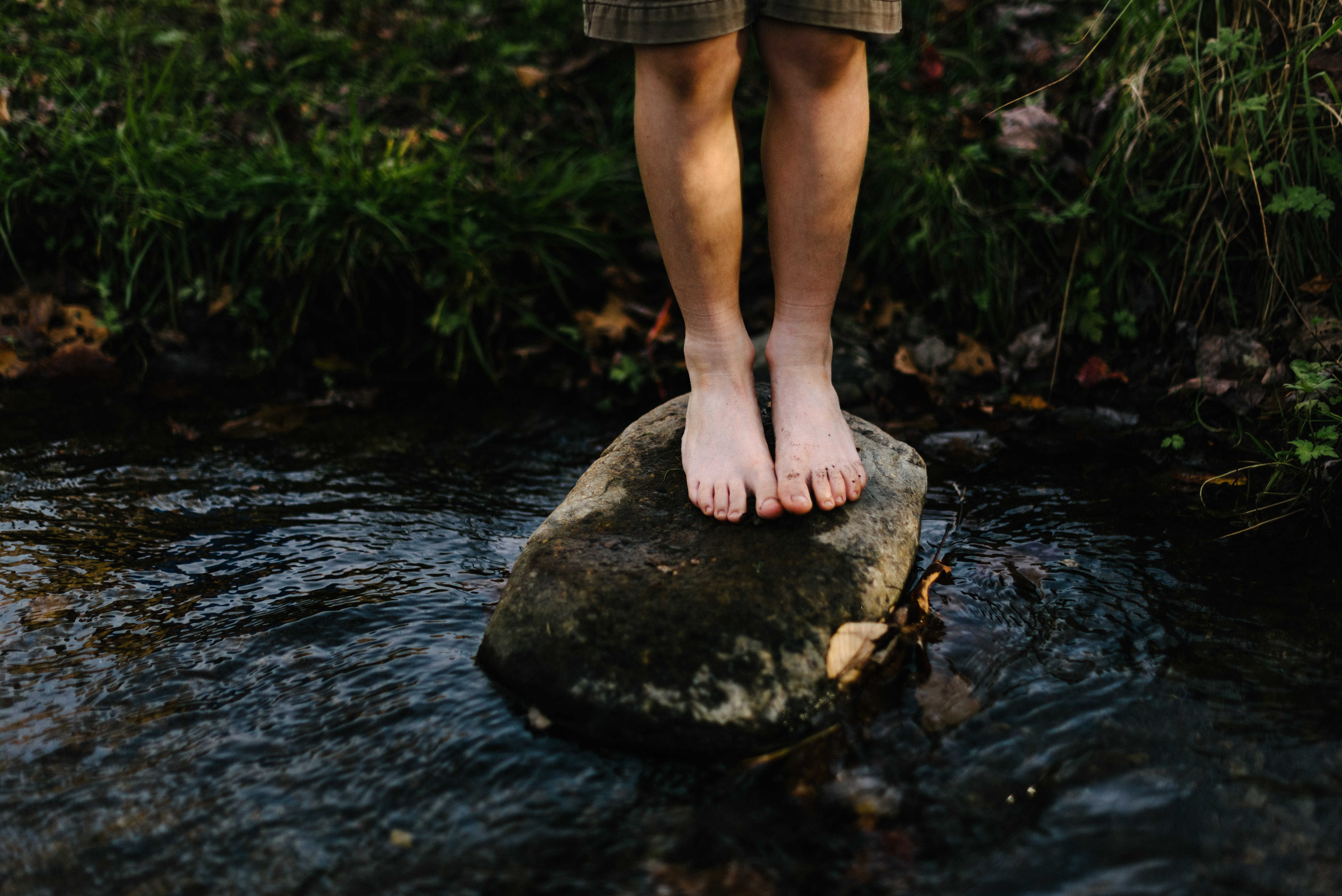 stepping stone image